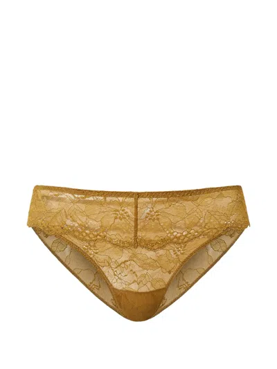 Twinset Lace Briefs In Brown