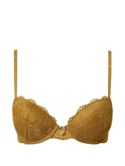 Twinset Lace Push-up Bra In Brown