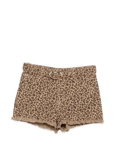 Twinset Leopard-pattern Shorts In Brown
