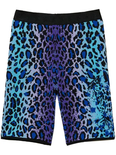 Twinset Leopard-print Shorts In Blue