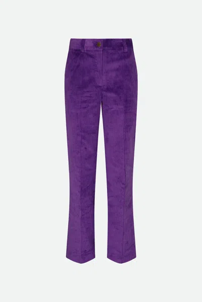 Twinset Velvet Pants In Viola