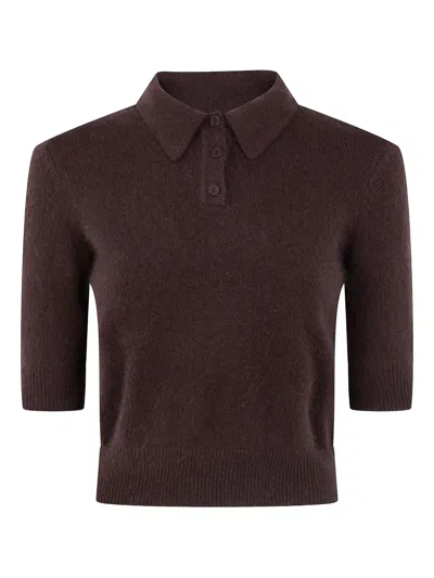 Twinset Polo-neck Short-sleeve Top In Brown