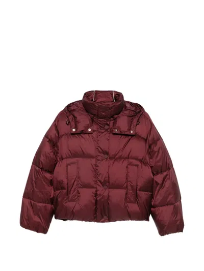 Twinset Quilted Hooded Puffer Jacket In White