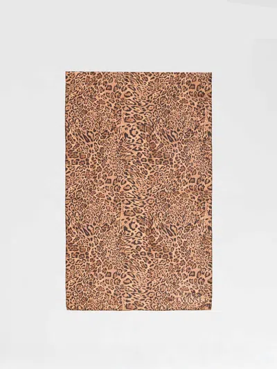 Twinset Scarf Woman  In Brown