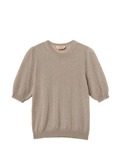 Twinset Short-sleeved Jumper With Sequins In Brown
