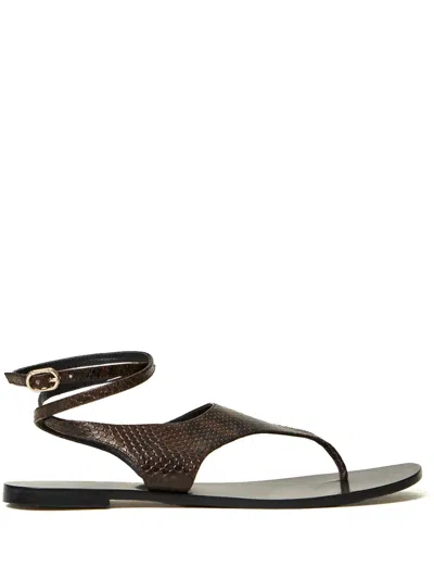 Twinset Snakeskin-effect Flat Sandals In Brown