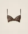 Twinset Soutien-gorge Push-up En Dentelle In Brown