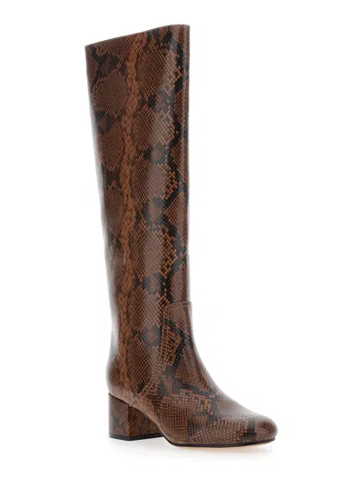 Twinset Stivale St. Pitone In Brown