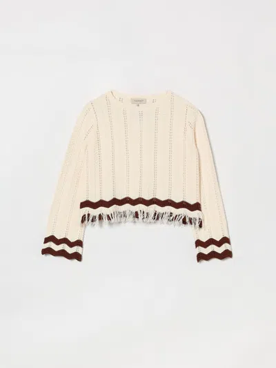 Twinset Kids' セーター  ボーイ カラー ホワイト In Multi