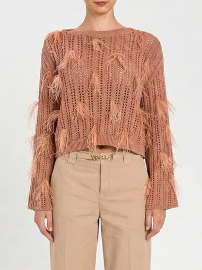 Twinset Boat Neck Sweater With Feathers In Brown