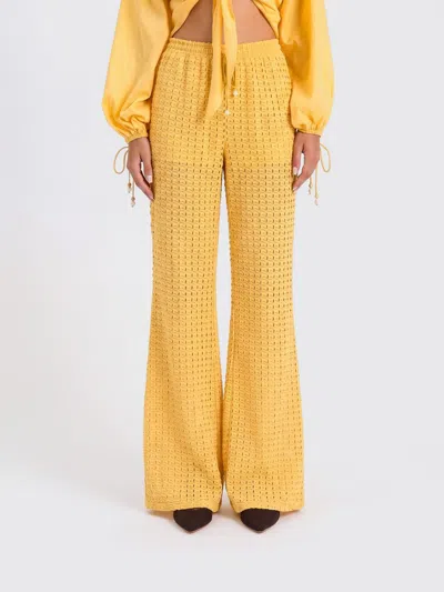 Twinset U&b Perforated Flared Trousers In Gold