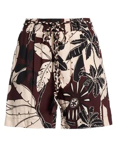 Twinset U & B Woman Shorts & Bermuda Shorts Burgundy Size L Cotton In Brown