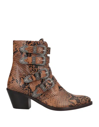 Twinset Ankle Boots In Brown
