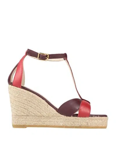 Twinset Woman Espadrilles Plum Size 8 Leather In Purple