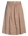 Twinset Woman Midi Skirt Beige Size 14 Cotton In Beige