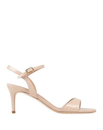 Twinset Woman Sandals Blush Size 5 Leather In Pink
