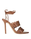 Twinset Woman Sandals Brown Size 7 Leather In Brown