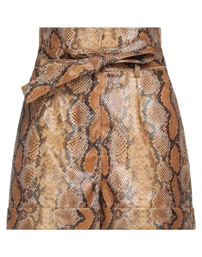 Twinset Woman Shorts & Bermuda Shorts Brown Size 8 Viscose