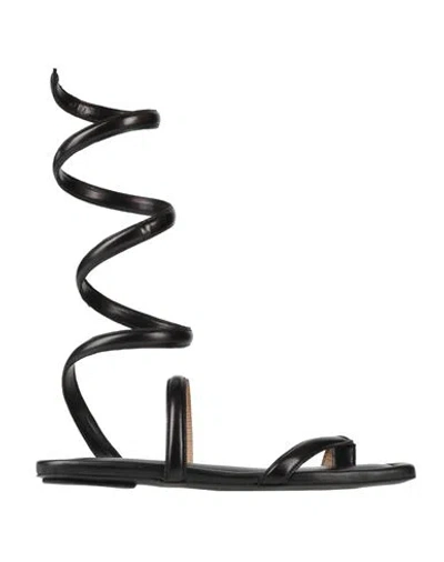Twinset Woman Thong Sandal Black Size 6 Leather