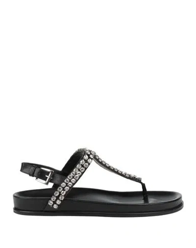 Twinset Woman Thong Sandal Black Size 7 Textile Fibers