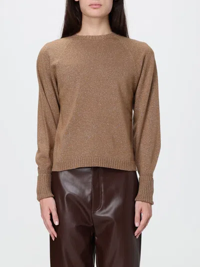 Twinset Wool And Cashmere Blend Lurex Yarn Sweater In Brown