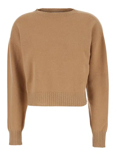 Twinset Wool And Cashmere Crew Neck Sweater In Brown
