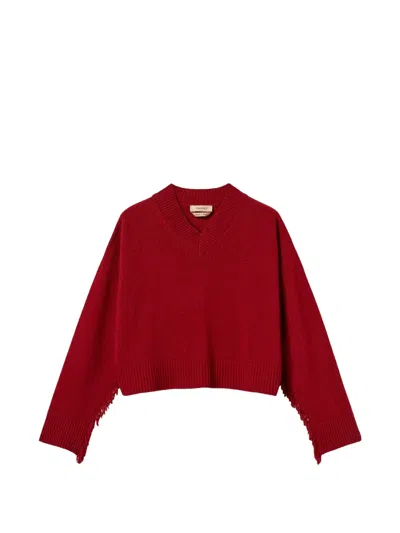 Twinset Wool Blend Jumper With Fringes In Multi