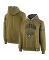 Two Hype X Nba Men's Olive Chicago Bulls Culture Hoops Collection Premium Pullover Hoodie In Olive