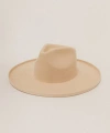 Two Roads Hat Co. Five Points Wide Brim Fedora Hat In Buckskin