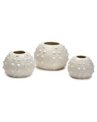 Two's Company Set Of 3 Sea Urchin Vases In White