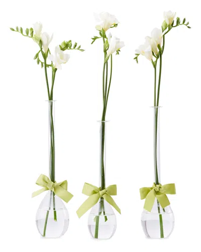 Two's Company Sleek & Chic Set Of 3 Tear Drop Vases In Multi