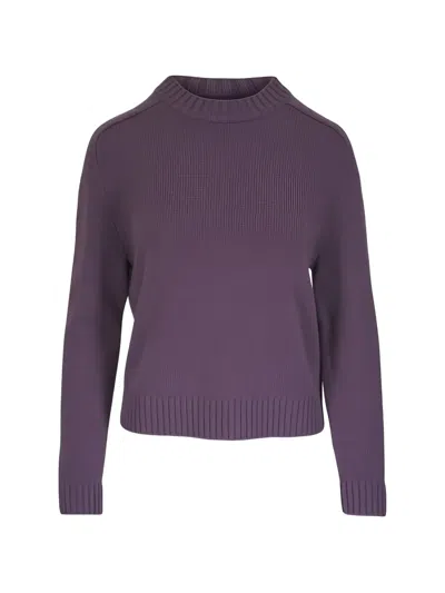 Twp Cashmere Sweater In Purple