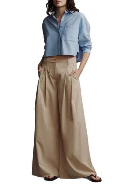 Twp Didi Pleated Pant In Sandstone In Brown