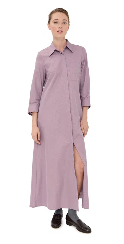 Twp Jennys Stripe Long Sleeve Cotton Shirtdress In Purple