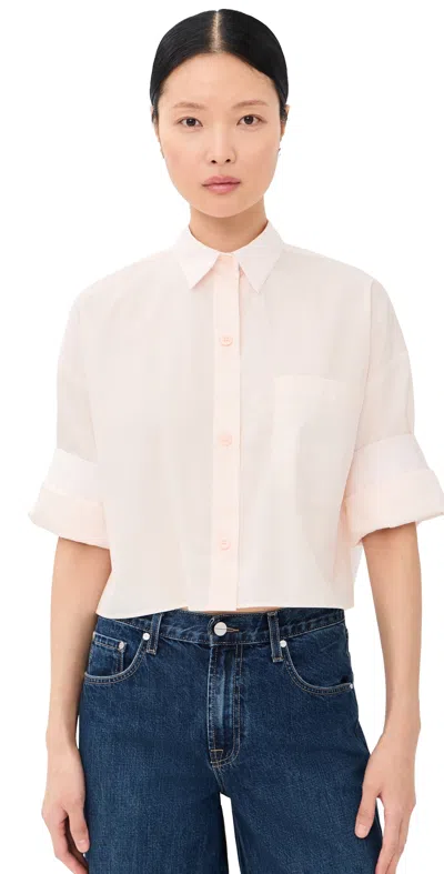 Twp Next Ex Button Down Sheer Pink In Neutral