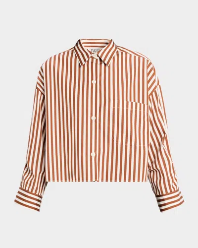 Twp Next Ex Striped Button-front Shirt In Brown