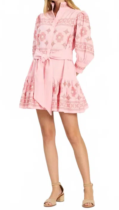 Tyler Boe Christy Embroidery Mini Dress In Rosette In Pink