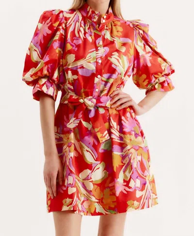 Tyler Boe Lydia Floral Dress In Tiger Lily In Multi