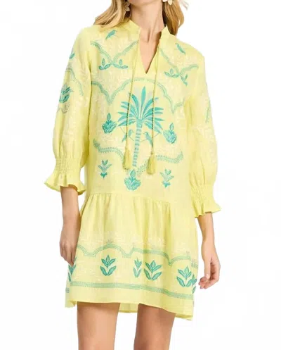 Tyler Boe Nikki Embroidered Dress In Sunny Lime In Yellow