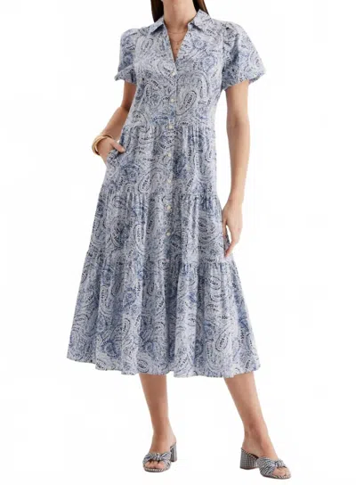 Tyler Boe Olivia Paisley Maxi Dress In Multi In Blue