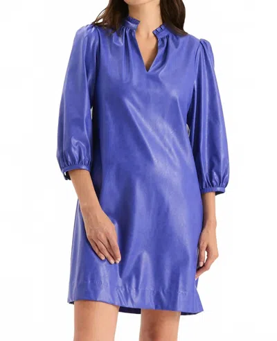 Tyler Boe Women's Sherri Vegan Dress In Regal Blue