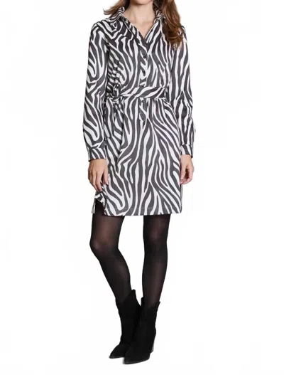 Tyler Boe Zebra Faux Suede Shirt Dress In Black/white