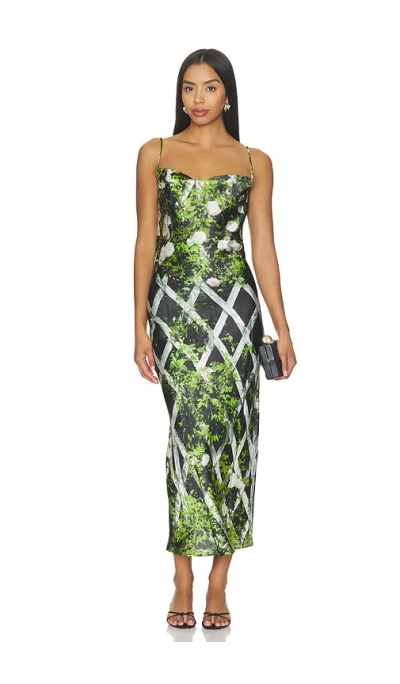 Tyler Mcgillivary Elisa Dress In Leafy Rose Trellis