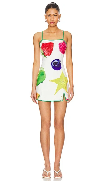 Tyler Mcgillivary Fruit Basket Dress