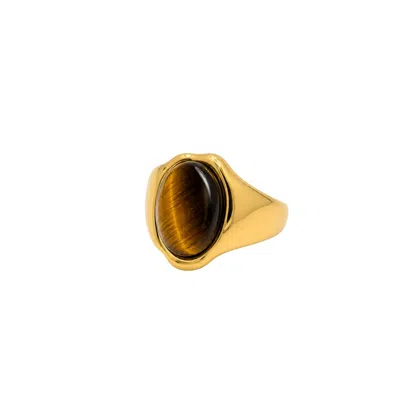 Uchi And Soto Women's Gold / Brown Nekomeishi Tigers Eye Ring
