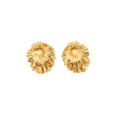 Uchi And Soto Women's Kin Gold Statement Stud Earrings