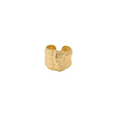 Uchi And Soto Women's Kin Molten Gold Ring