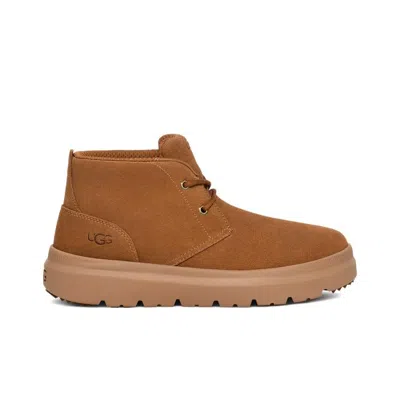 Ugg Burleigh Chukka Boot 'chestnut' In Brown