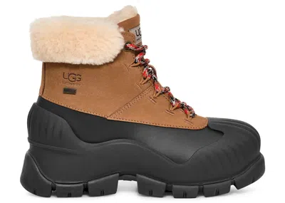 Pre-owned Ugg Adiroam Hiker Boot (women's) Sneakers In Chestnut
