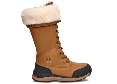 Pre-owned Ugg Adirondack Iii Tall Boot (women's) Sneakers In Chestnut